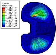 ����Ԫ����